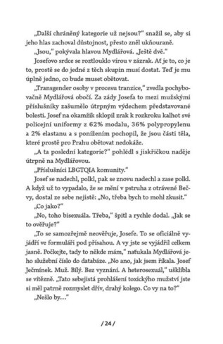 Ukázka