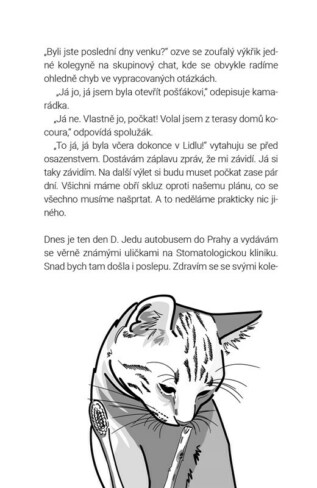 Ukázka