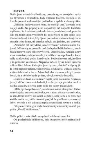 Ukázka