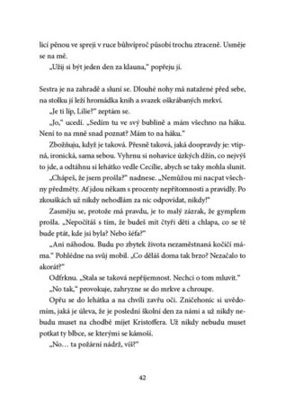 Ukázka