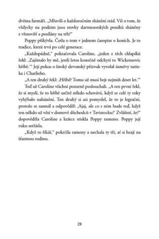 Ukázka
