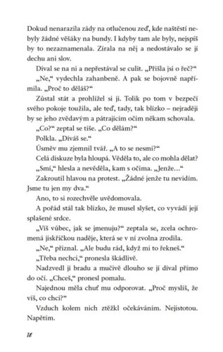 Ukázka