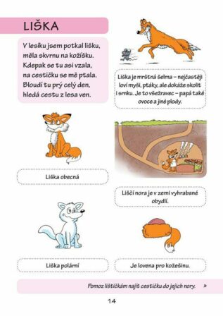 Ukázka