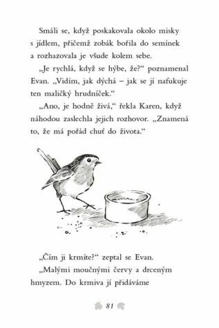 Ukázka