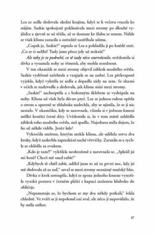 Ukázka