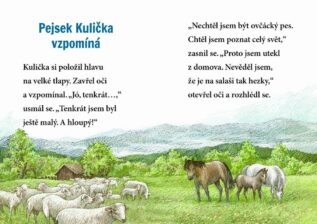 Ukázka