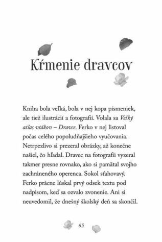 Ukázka