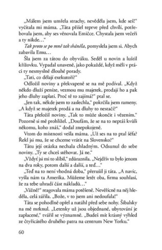 Ukázka
