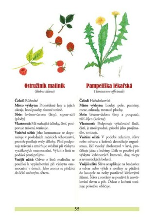 Ukázka