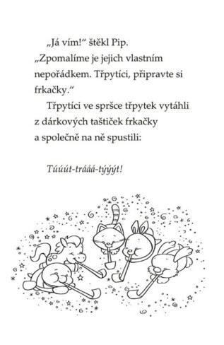 Ukázka