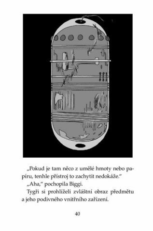 Ukázka