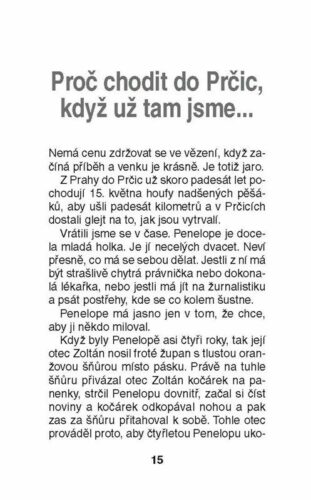 Ukázka