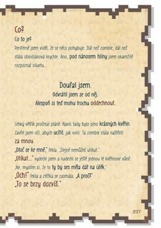 Ukázka