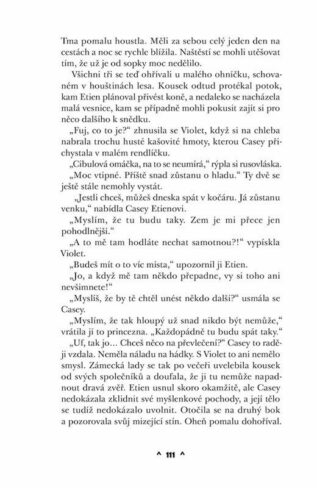 Ukázka