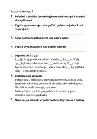 Ukázka