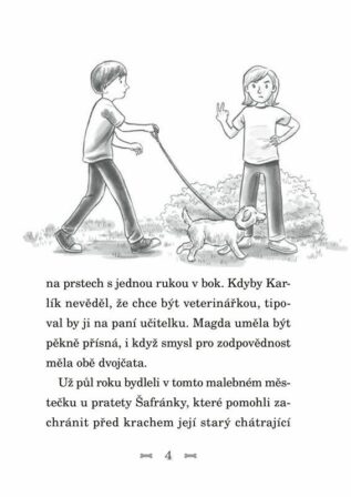 Ukázka