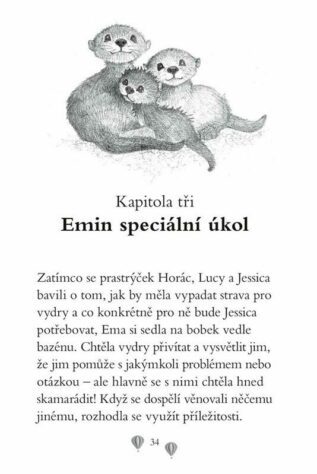 Ukázka