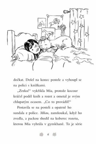 Ukázka