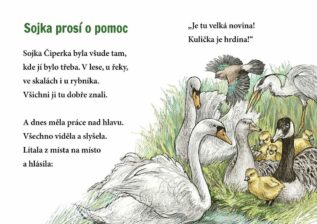 Ukázka