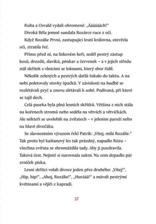 Ukázka