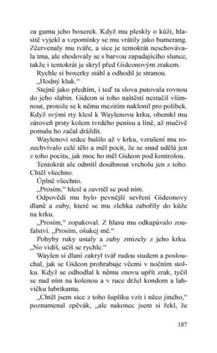 Ukázka