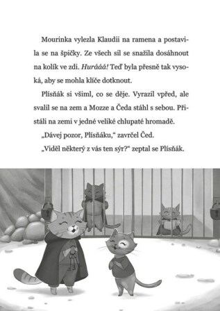 Ukázka