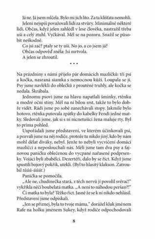 Ukázka