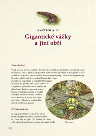 Ukázka