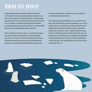 Ukázka