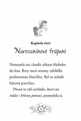 Ukázka