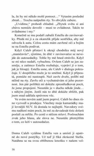 Ukázka