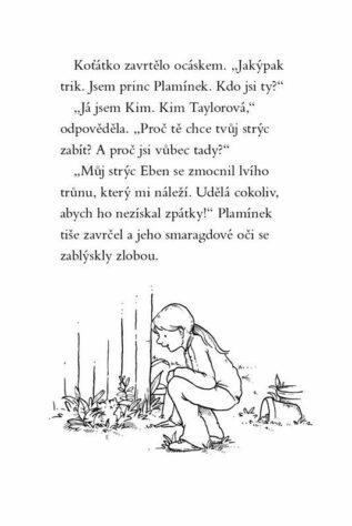 Ukázka