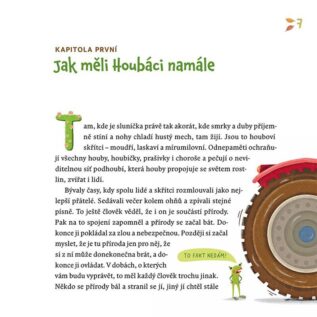 Ukázka