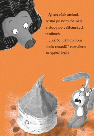 Ukázka
