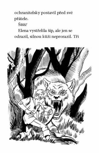 Ukázka