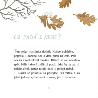 Ukázka