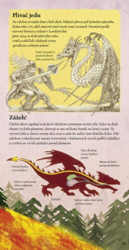 Ukázka