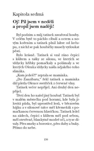 Ukázka