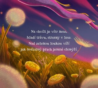 Ukázka