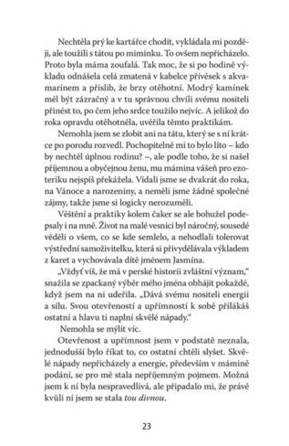 Ukázka