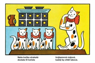 Ukázka