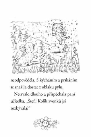 Ukázka
