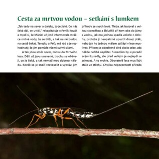 Ukázka