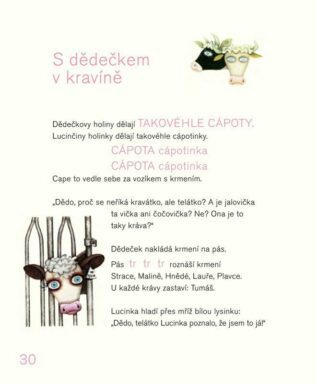 Ukázka