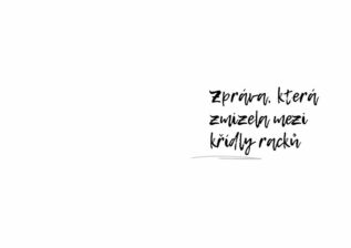Ukázka