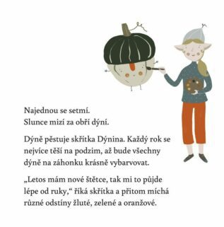 Ukázka