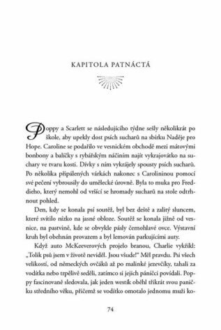 Ukázka