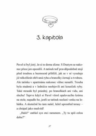 Ukázka
