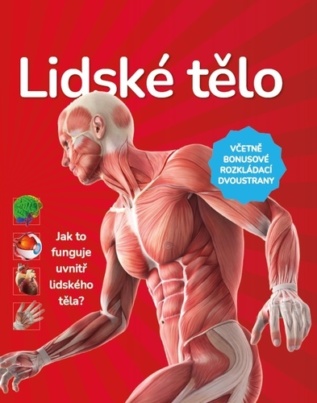 Lidské tělo