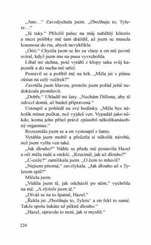 Ukázka